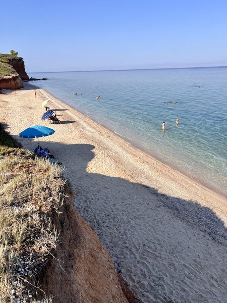 Potidea Apartments exterior — family holiday rental with palm trees in Nea Potidea Kassandra Halkidiki